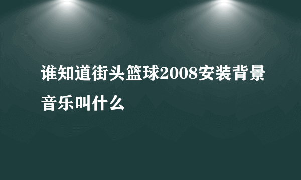 谁知道街头篮球2008安装背景音乐叫什么