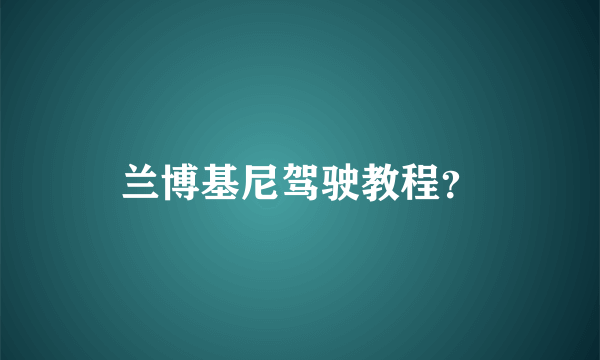 兰博基尼驾驶教程？