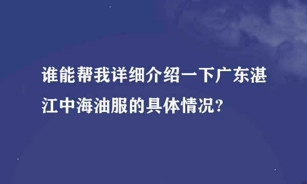 谁能帮我详细介绍一下广东湛江中海油服的具体情况?