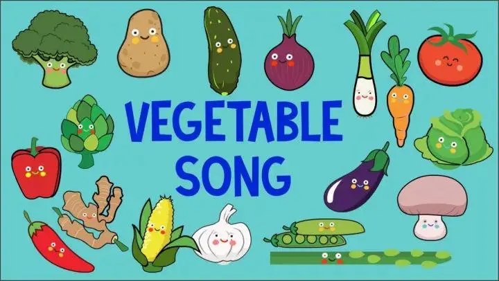 vegetable英语怎么读