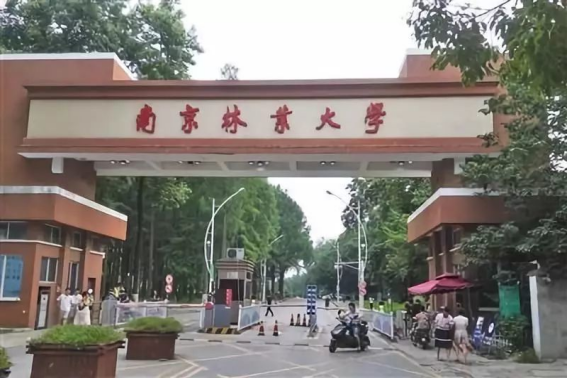 南京林业大学怎么样