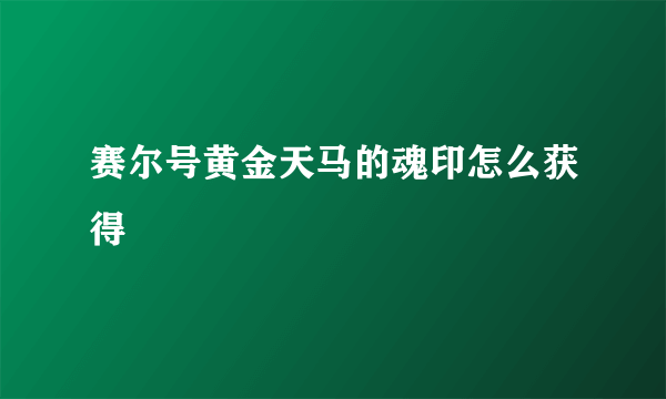 赛尔号黄金天马的魂印怎么获得