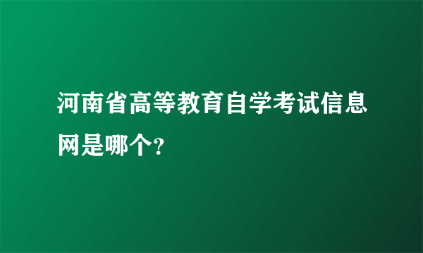 河南省高等教育自学考试信息网是哪个？