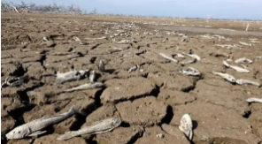 长江全流域遭遇61年最严重干旱，目前我国哪些地方干旱严重？