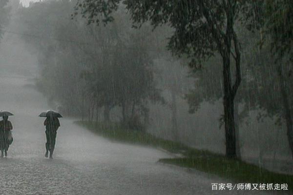 郑州希岸酒店在暴雨期间涨价，这家酒店被罚50万是真的吗？