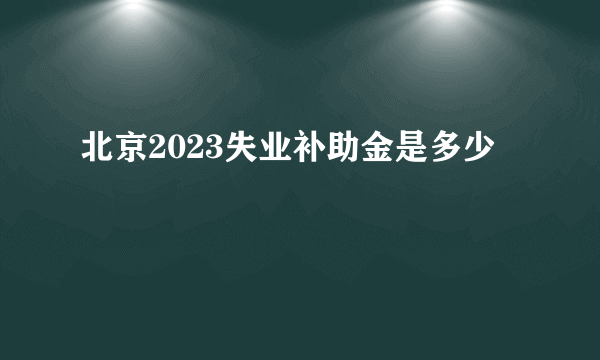 北京2023失业补助金是多少