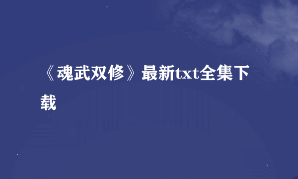 《魂武双修》最新txt全集下载