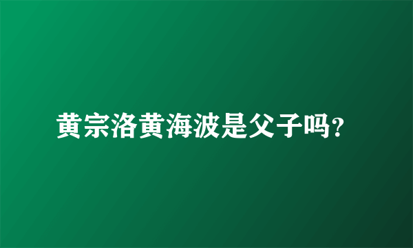 黄宗洛黄海波是父子吗？