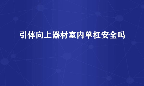 引体向上器材室内单杠安全吗