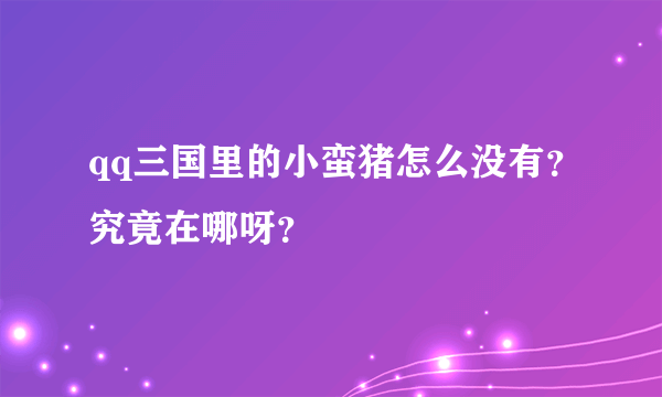 qq三国里的小蛮猪怎么没有？究竟在哪呀？