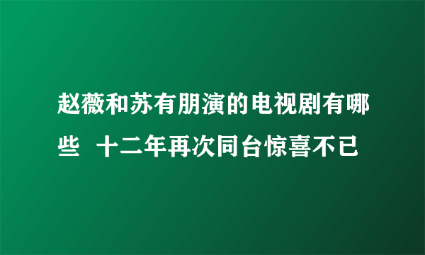 赵薇和苏有朋演的电视剧有哪些  十二年再次同台惊喜不已